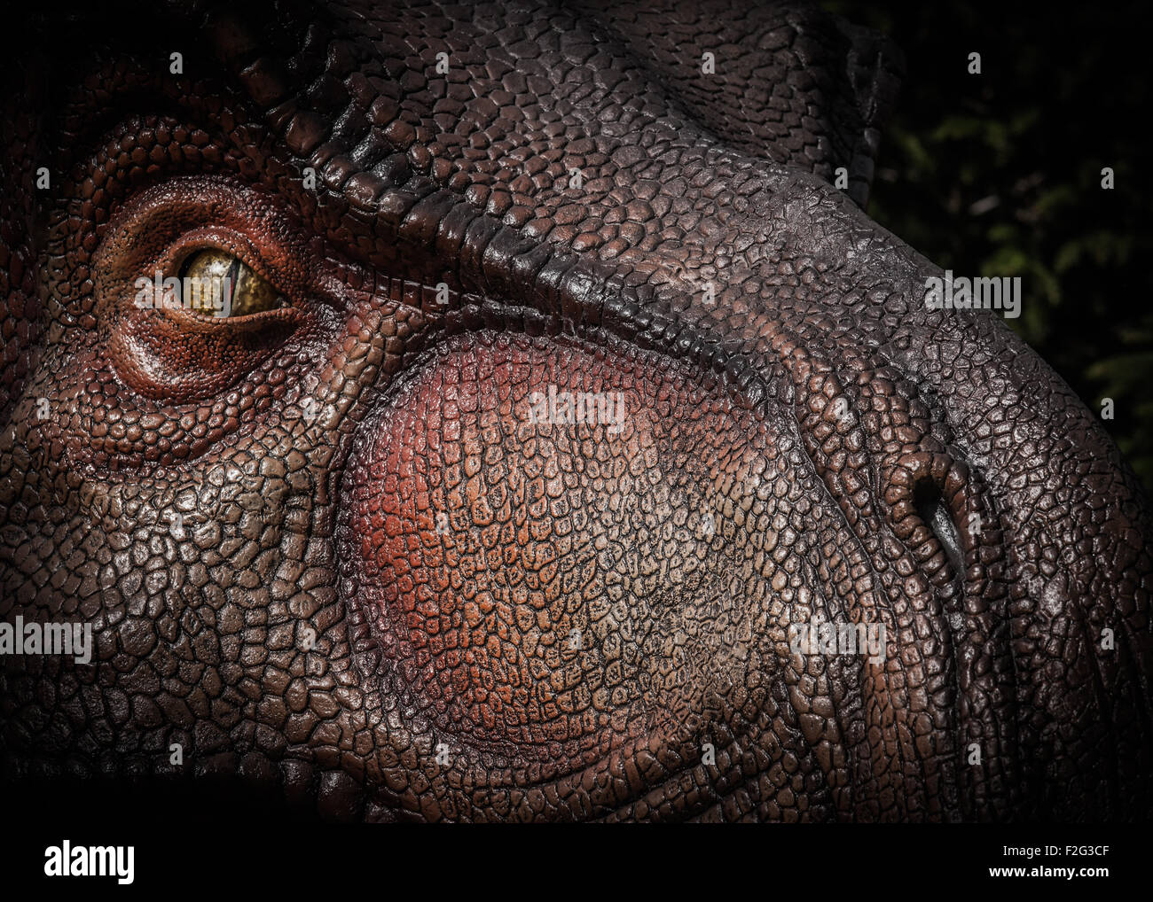 Tyrannosaurus Rex Foto Stock