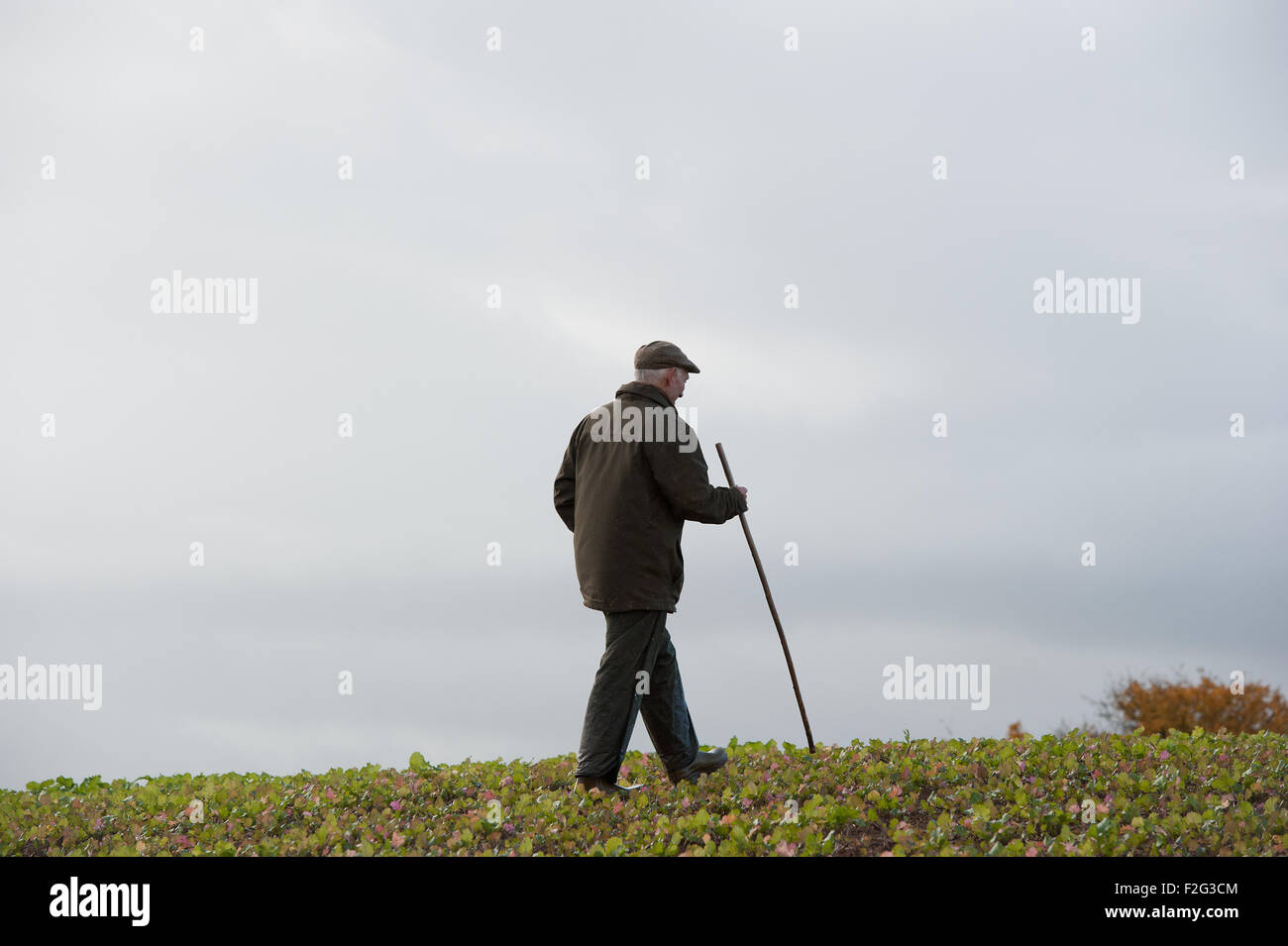 Un battitore lavorando su un tiro Foto Stock