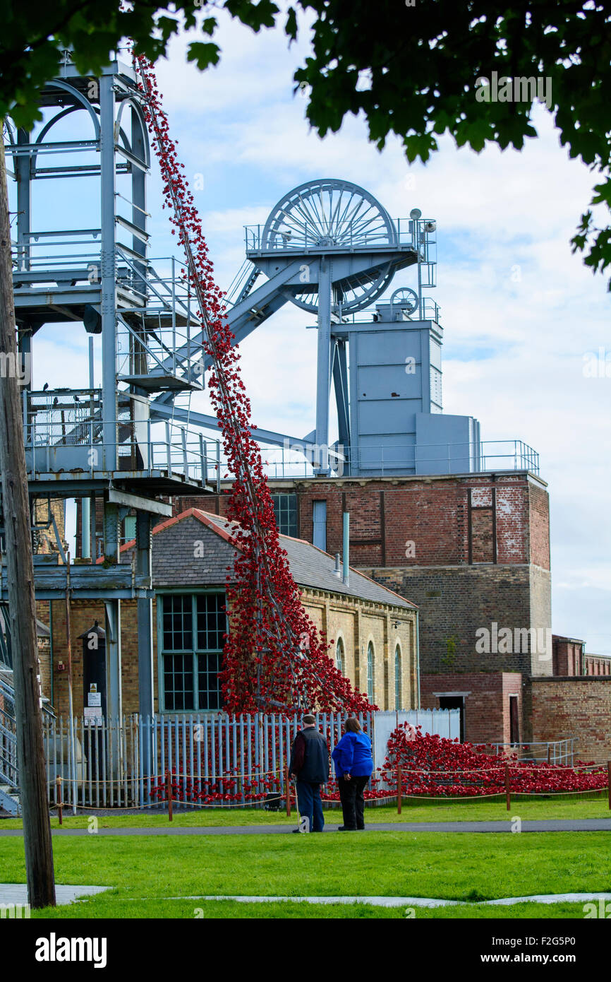 Finestra di pianto Papaveri sul Woodhorn Foto Stock