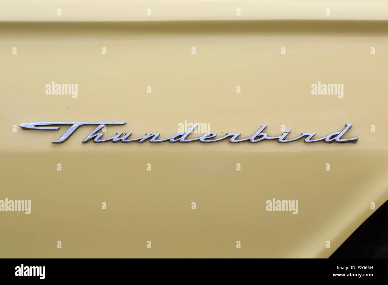 Anni Cinquanta Ford Thunderbird indicati sulla targhetta Foto Stock