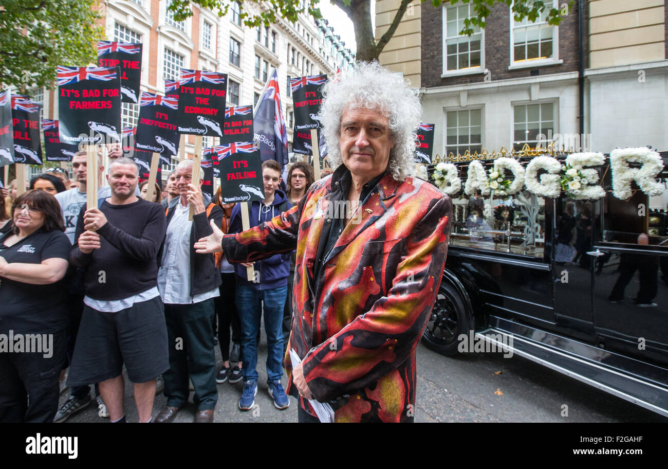 Brian May,chitarrista solista con la rock band Queen,conduce una dimostrazione contro il badger cull.2263 badgers sono stati abbattuti Foto Stock