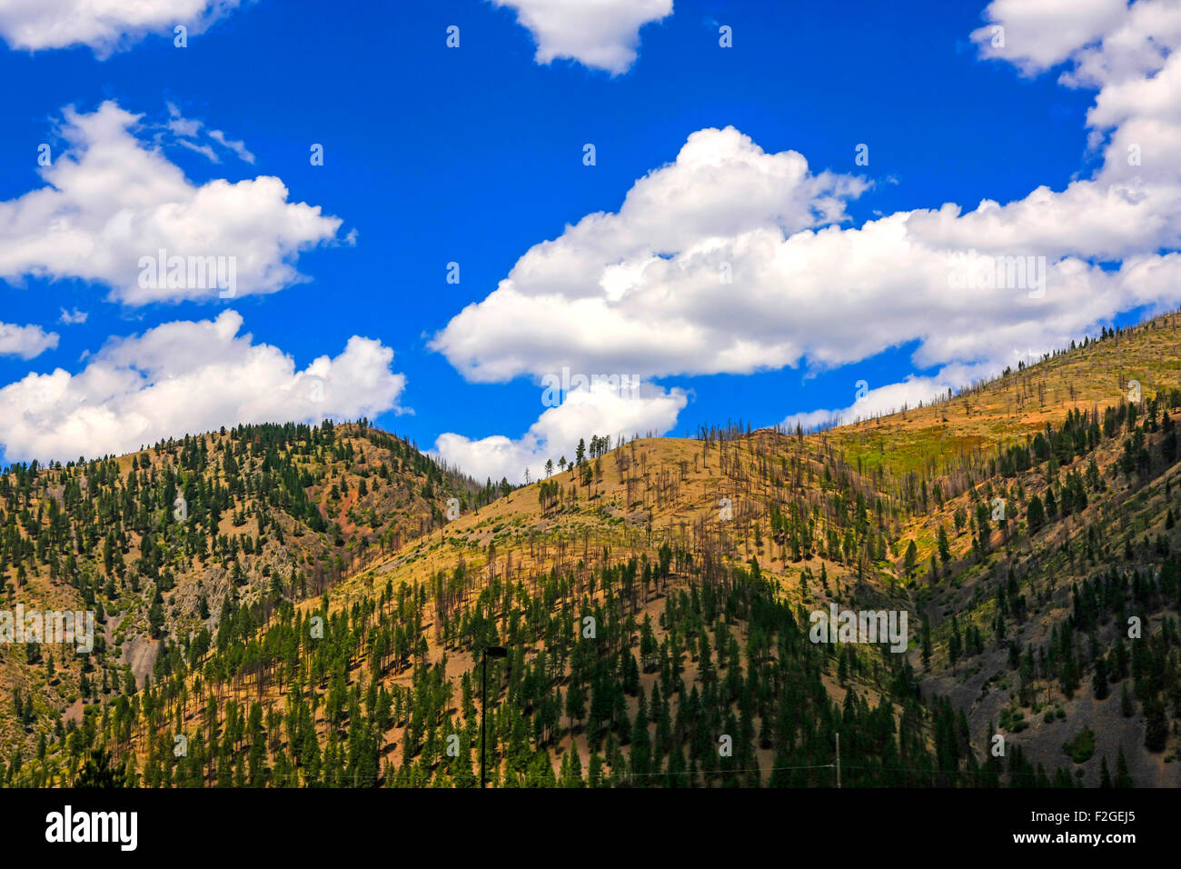 Le colline che circondano la valle di argento nella contea di Shoshone di Idaho Foto Stock
