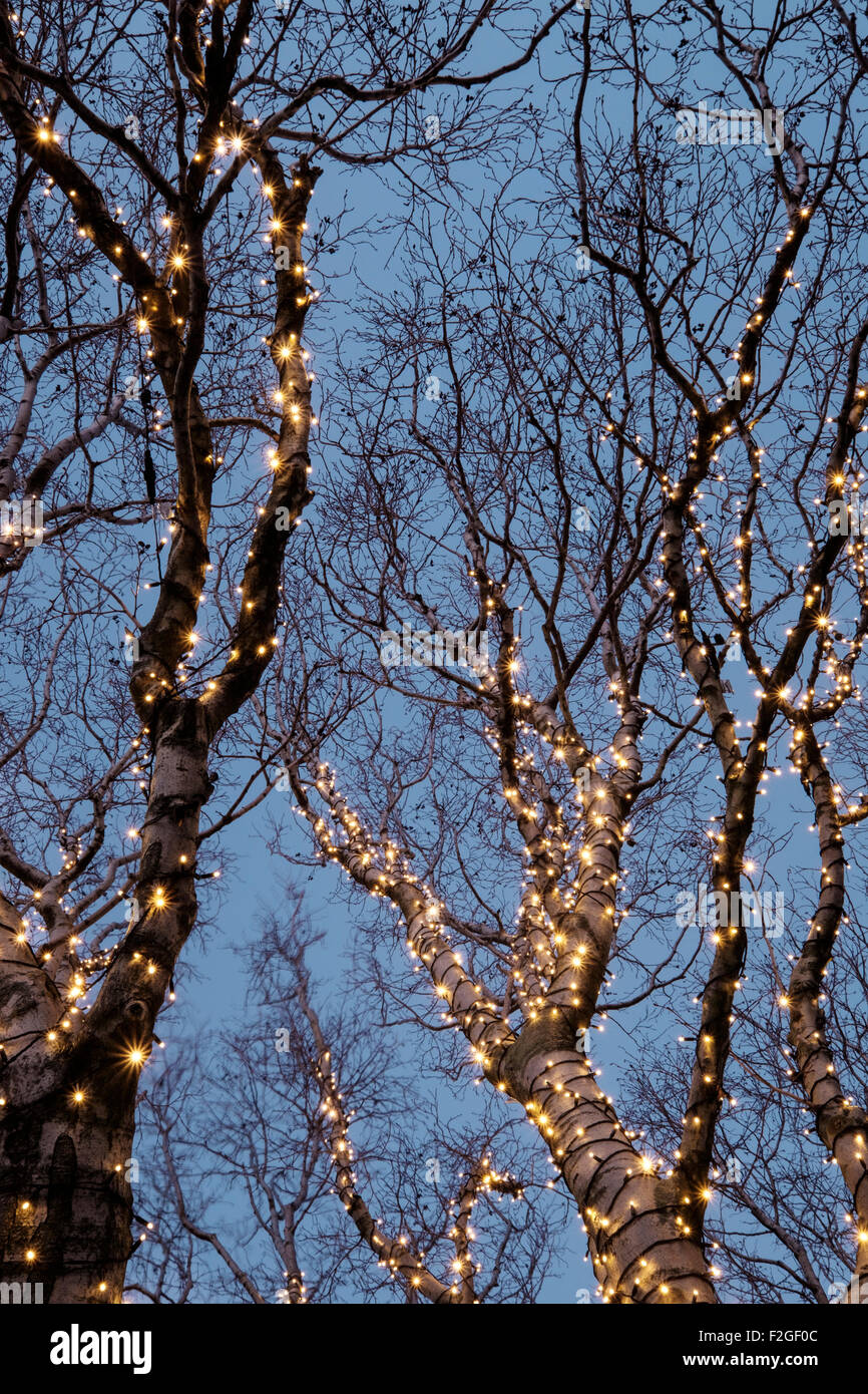 Bellissime decorazioni di Natale in una struttura ad albero Foto Stock