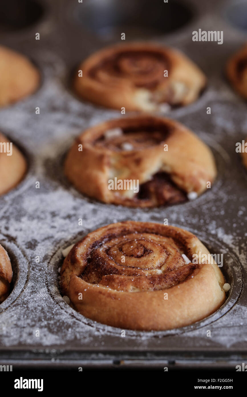 Kanelbullar svedese rotoli alla cannella Foto Stock