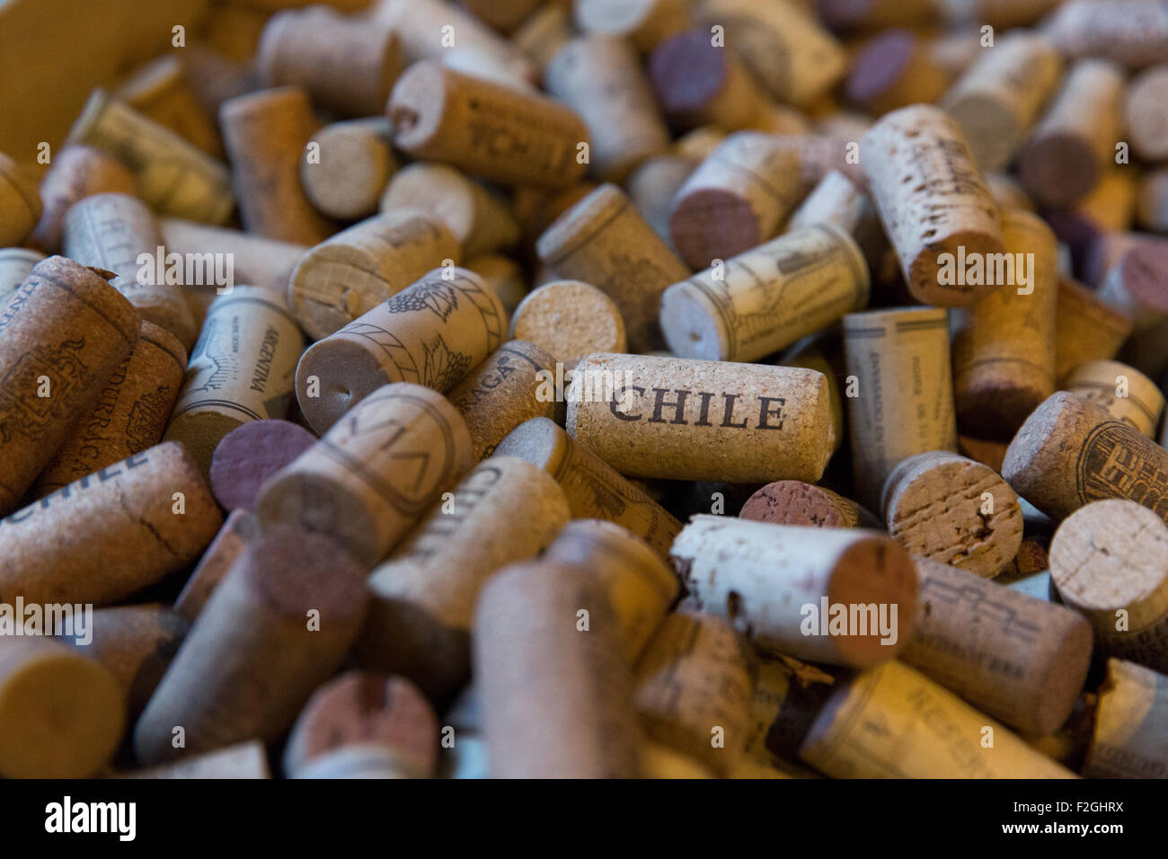 Il Cile tappi vino Foto Stock
