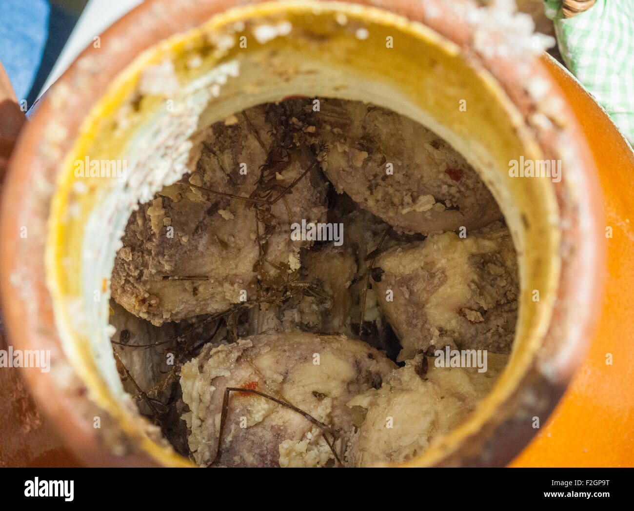 Italia Piemonte Bra xviii Settembre 2015 Fiera 'formaggio'- Conciato Romano - ( Lazio ) - presidio Slow Food Foto Stock