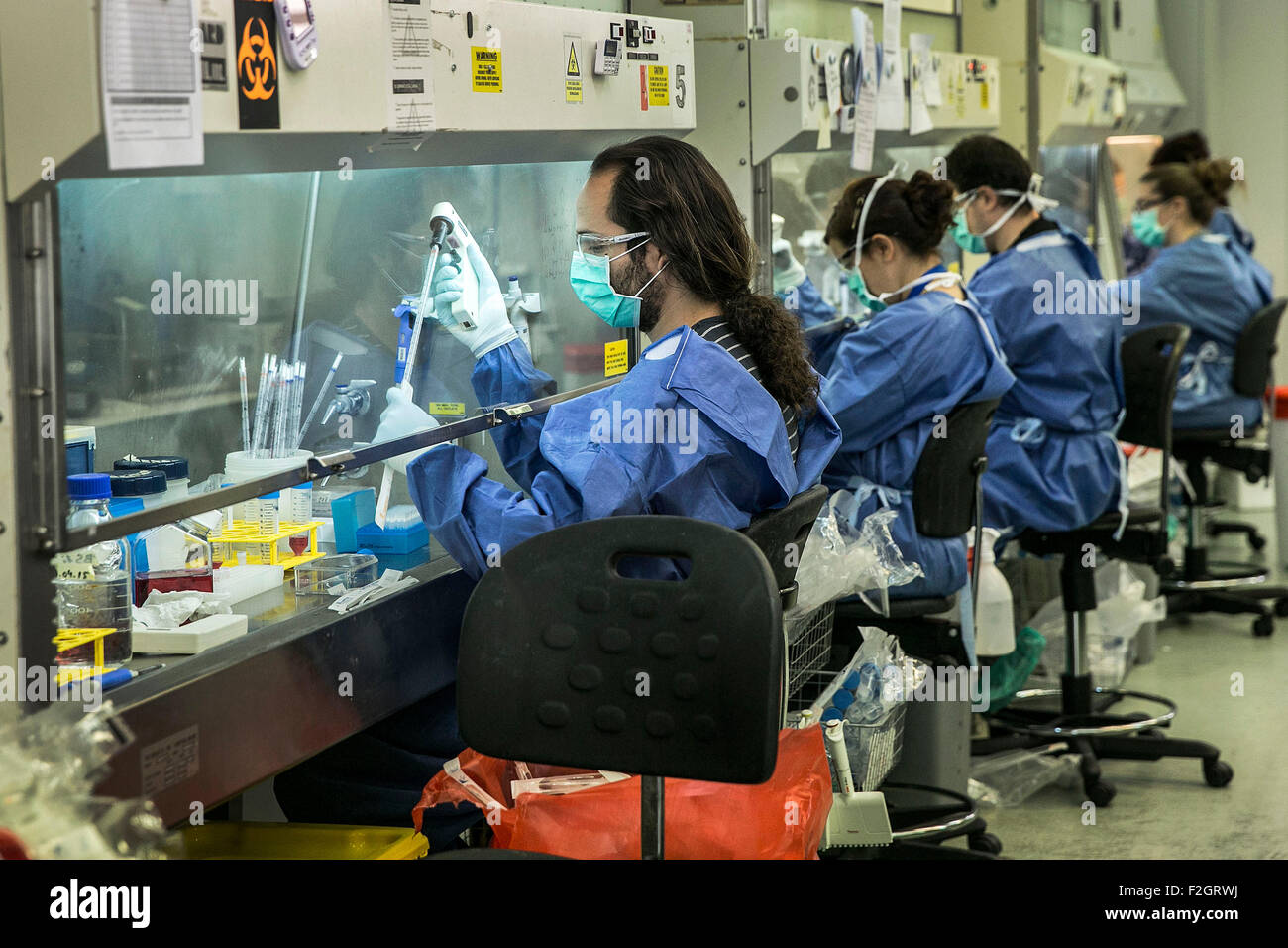 I lavoratori e i ricercatori incontrano presso la clinica area di analisi in un ospedale di Mallorca. Foto Stock