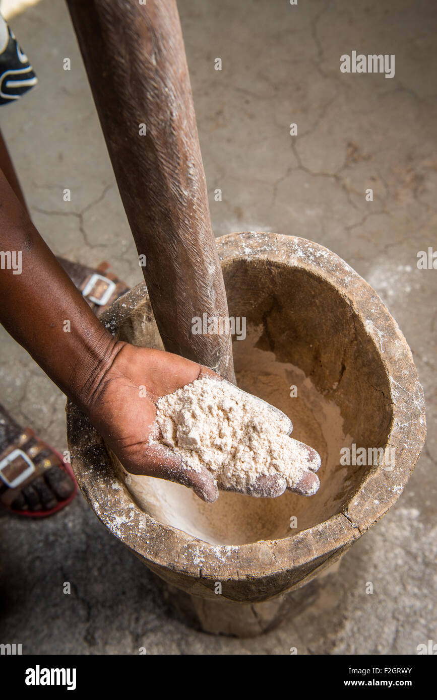 Donna di lato che mostra il sorgo pasto dopo la triturazione con un mortaio e pestello in villaggio Sexaxa in Botswana, Africa Foto Stock