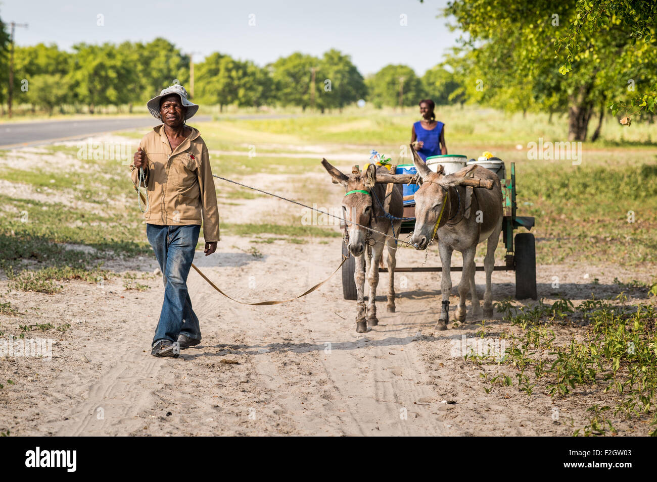 Popolo africano con asini di trazione di un carrello in una zona rurale nel Botswana, Africa Foto Stock