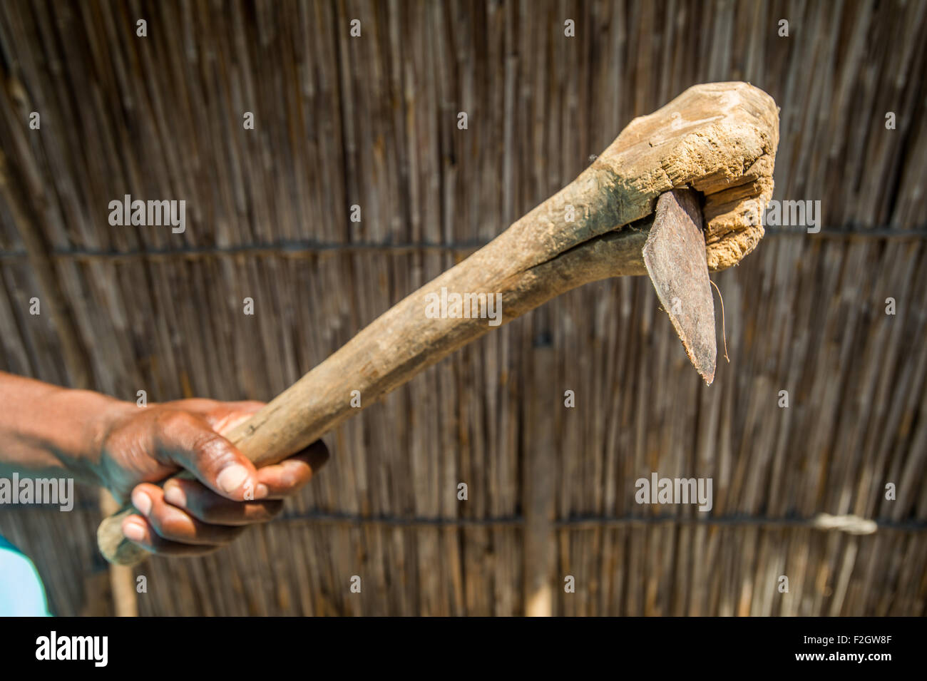 Villaggio Sexaxa donna porta a mano un'ascia in Botswana, Africa Foto Stock