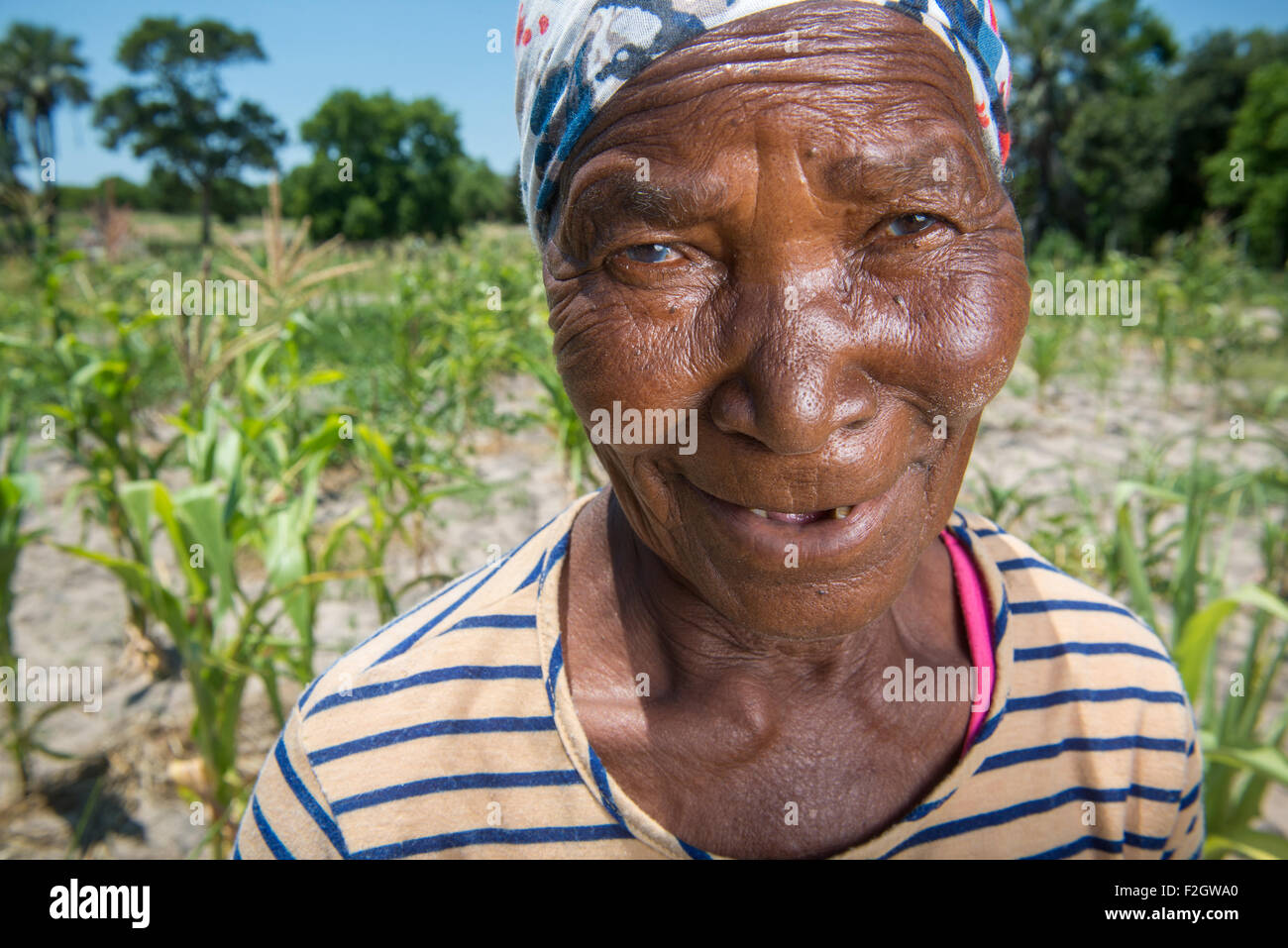 Villaggio Sexaxa donna sulla fattoria osservando i Suoi raccolti in Botswana, Africa Foto Stock