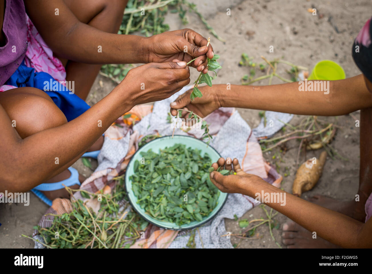 San persone o i boscimani nella preparazione degli alimenti nel loro villaggio in Botswana, Africa Foto Stock
