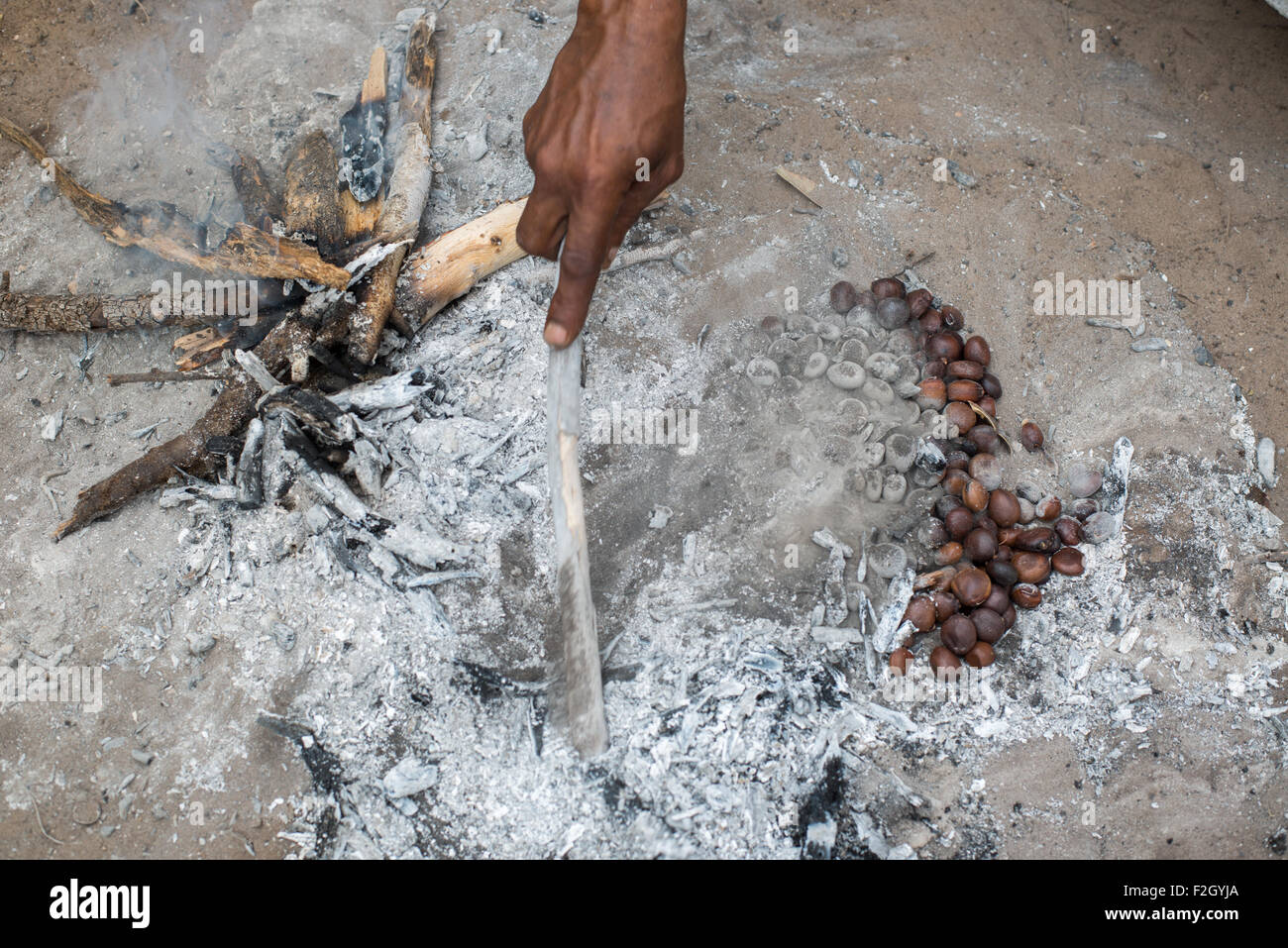 I Boscimani o San persone preparare il cibo in Botswana, Africa Foto Stock