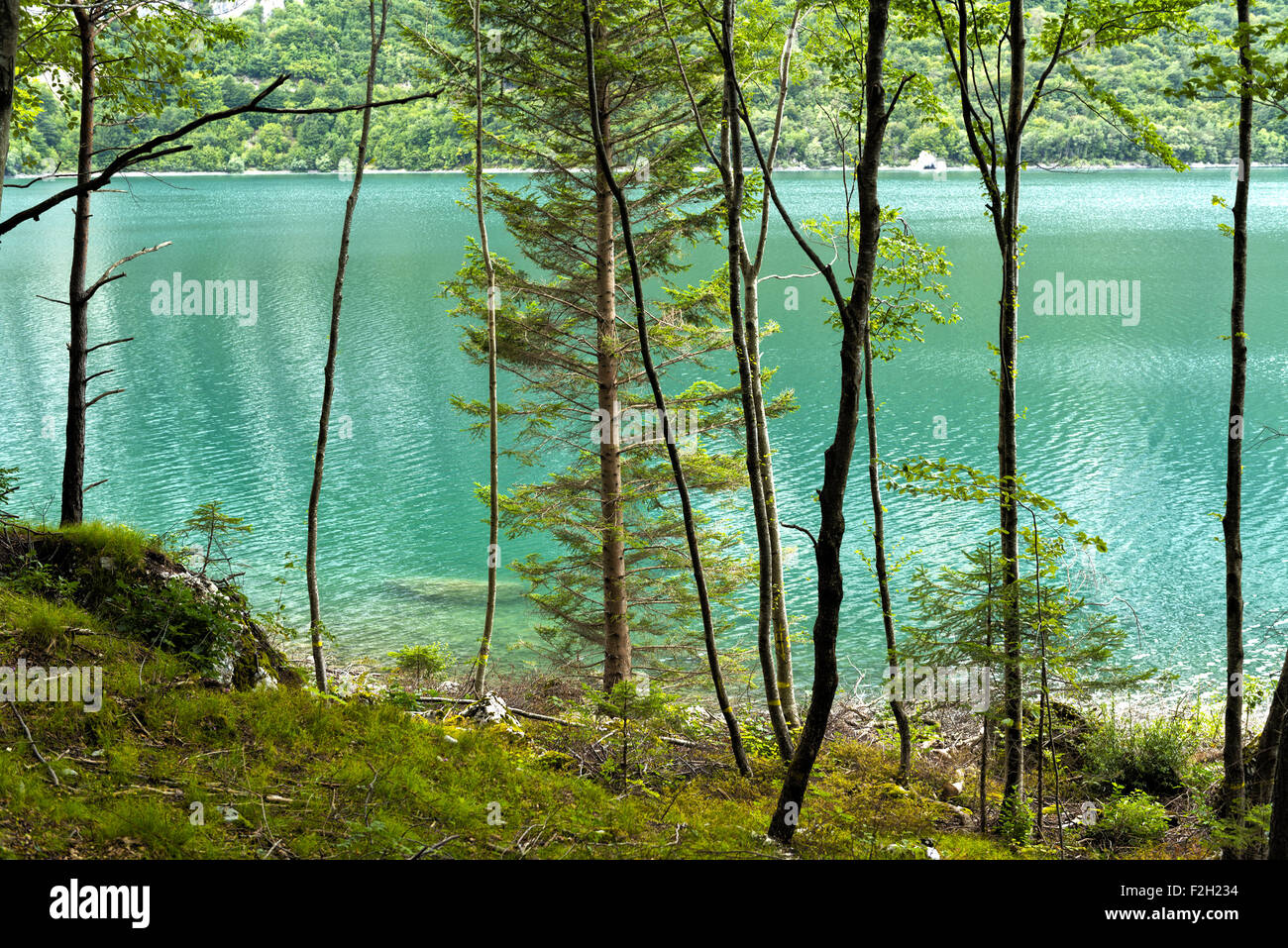 Paesaggio dalla foresta sul lago di Molveno in Trentino - Italia Foto Stock