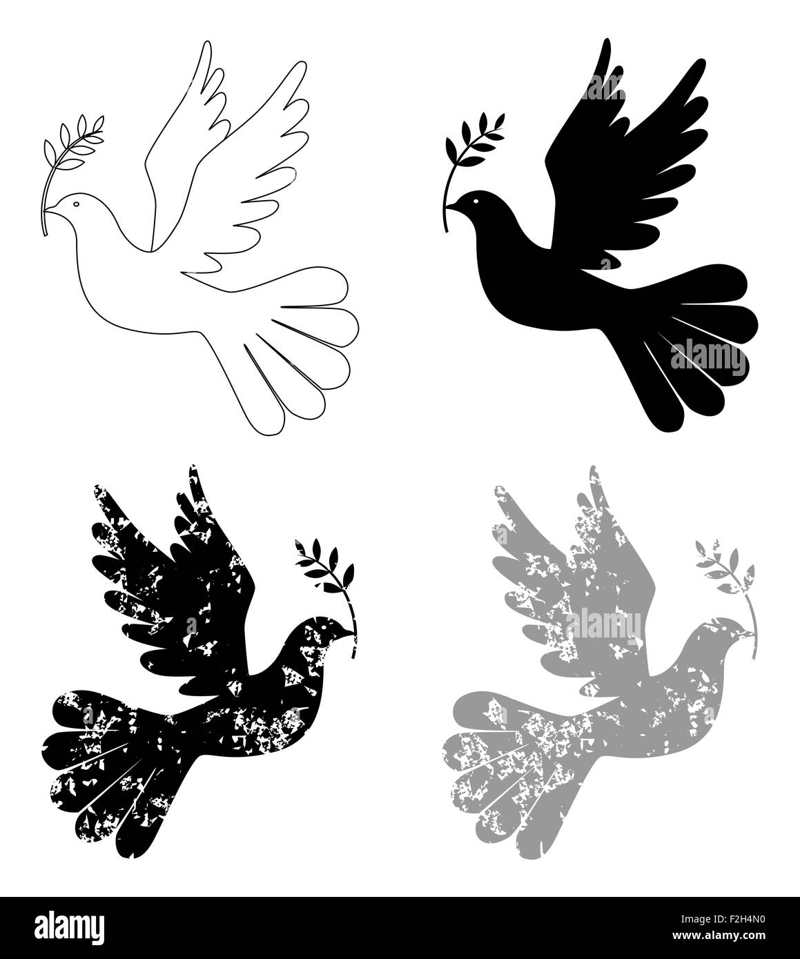 Colomba della Pace con olive branch Foto Stock
