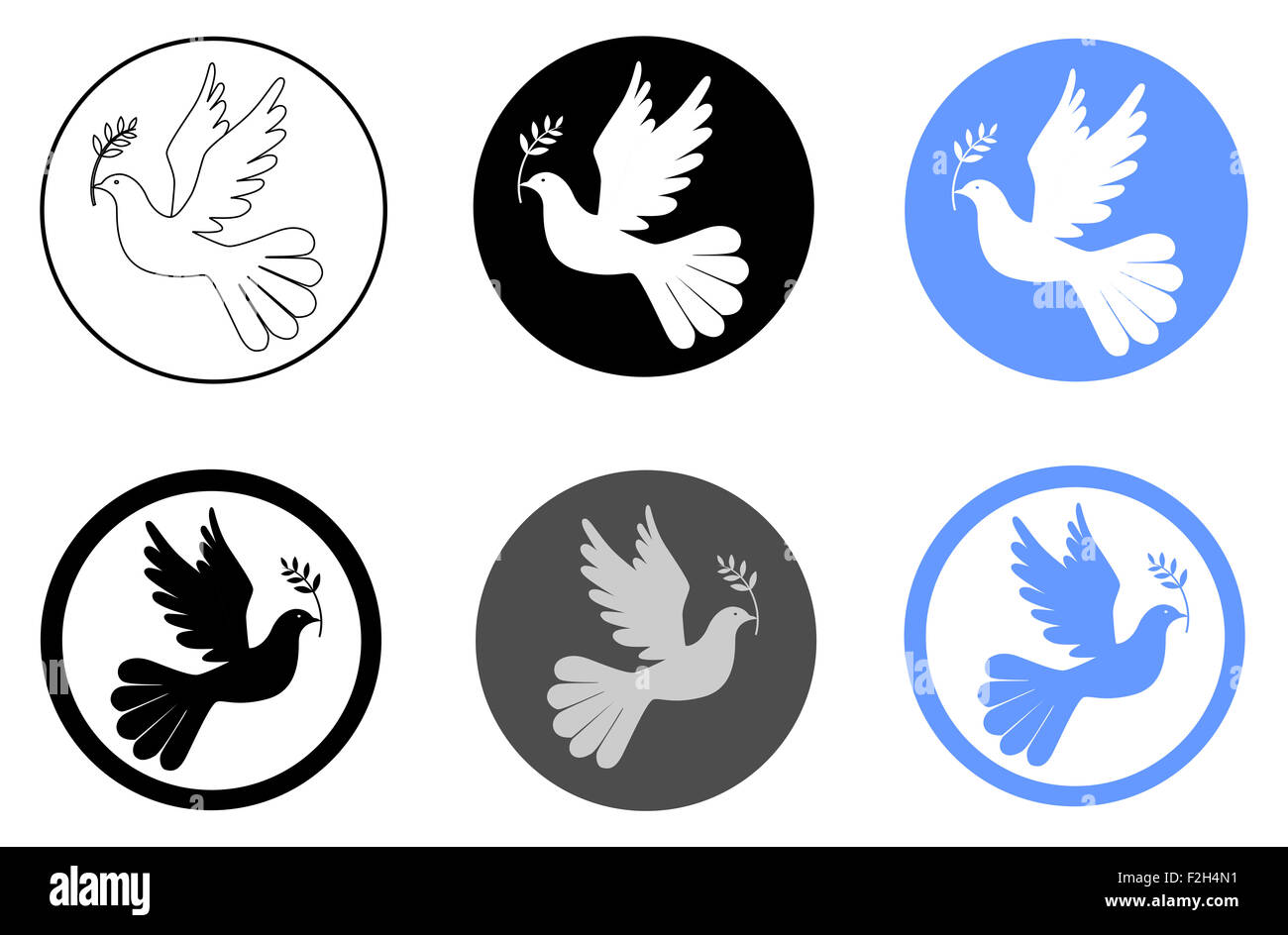 Colomba della Pace con olive branch Foto Stock