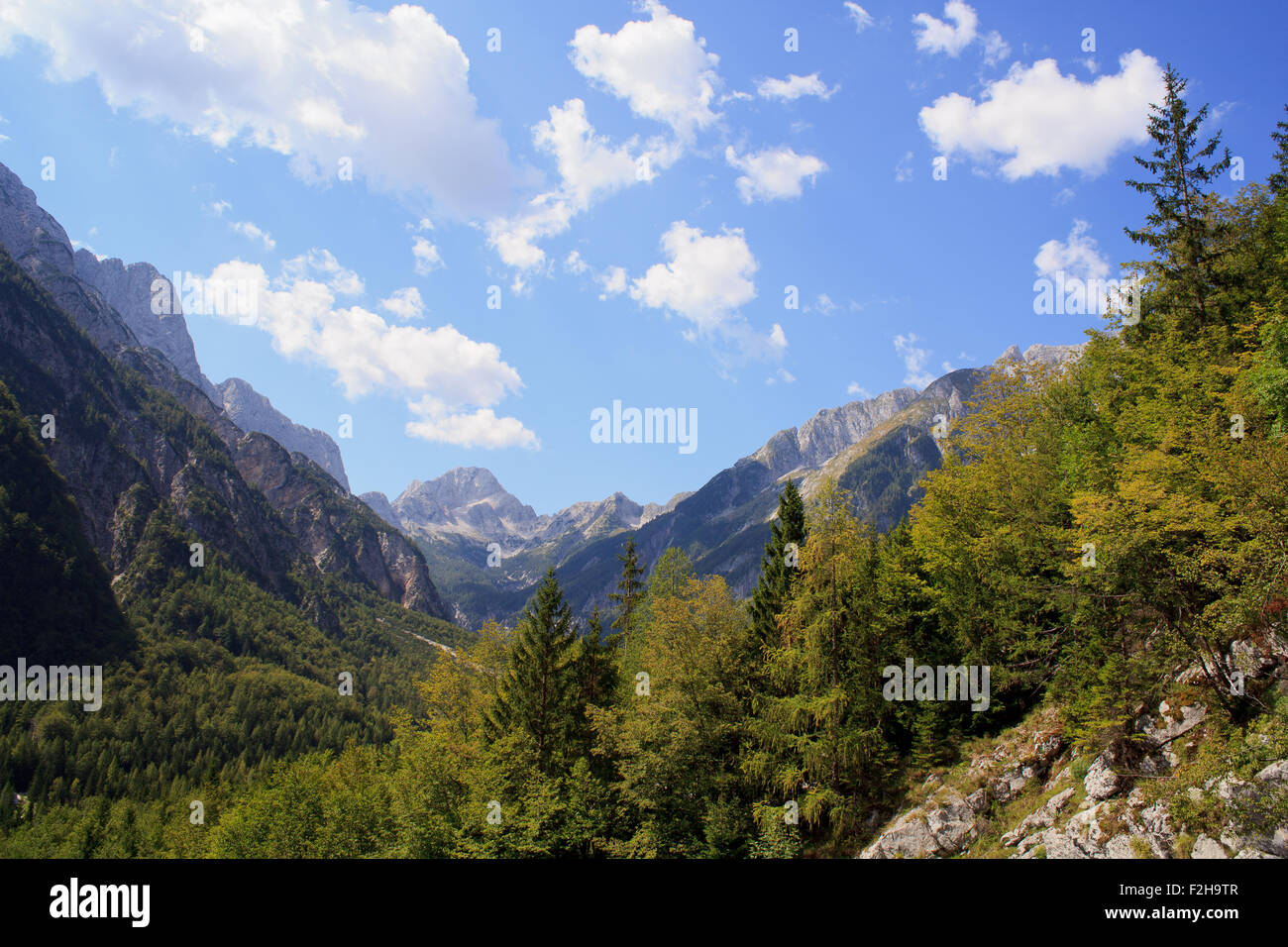 Vista delle Alpi Giulie nella campagna slovena Foto Stock