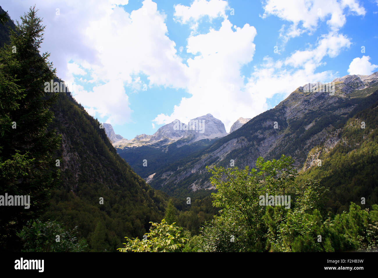 Vista delle Alpi Giulie nella campagna slovena Foto Stock