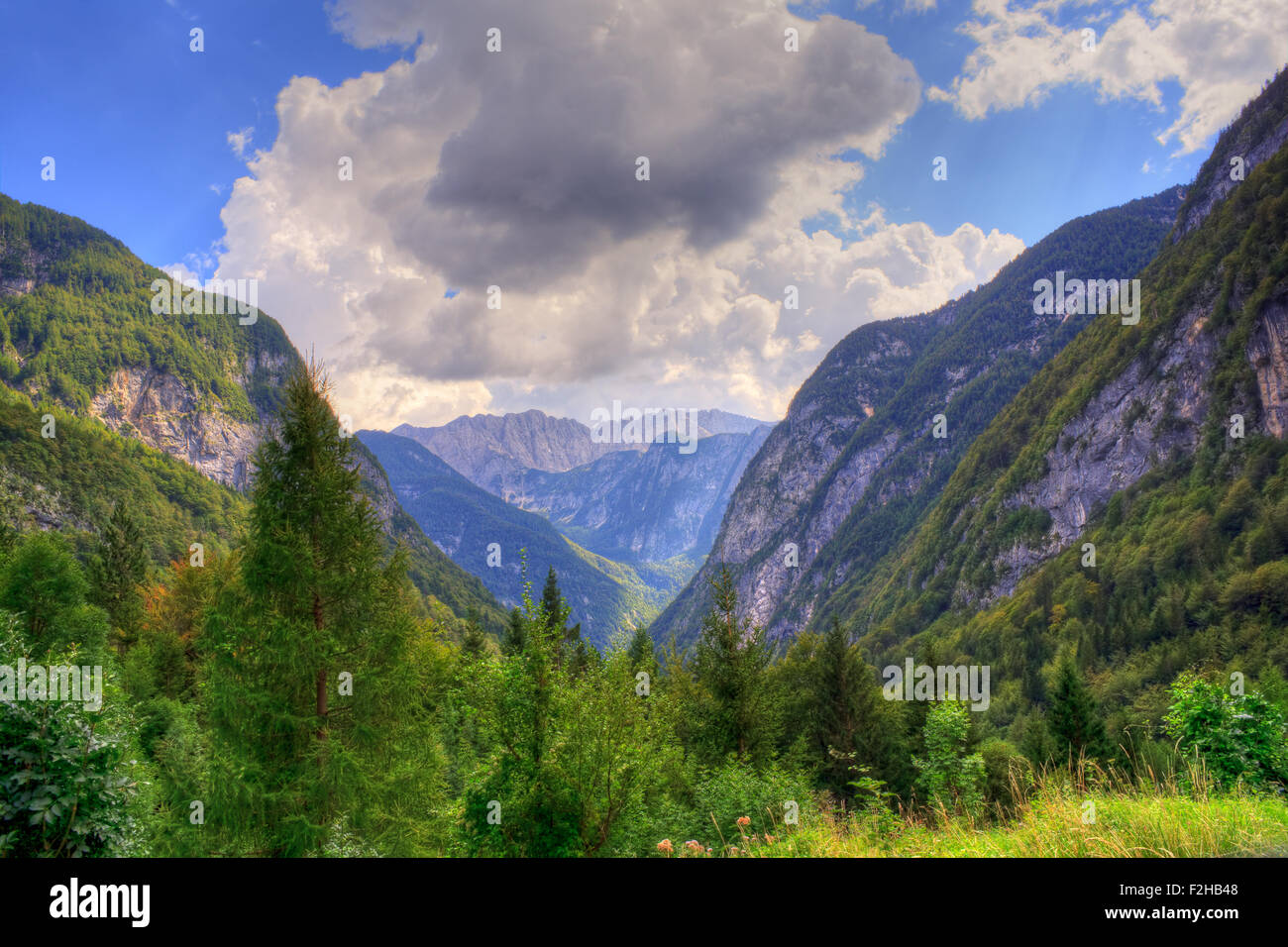 Vista delle Alpi Giulie nella campagna slovena Foto Stock