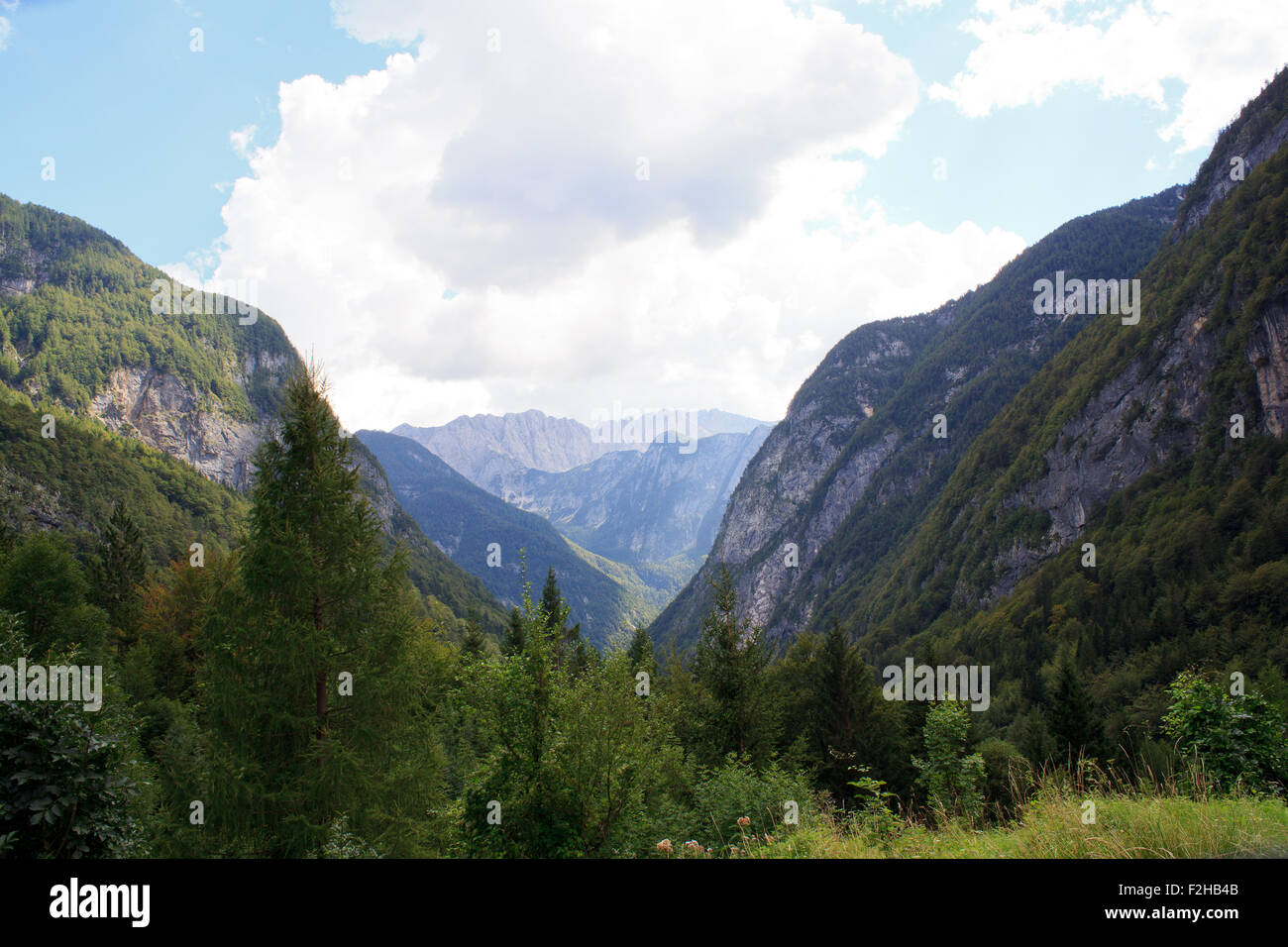 Vista delle Alpi Giulie nella campagna slovena Foto Stock
