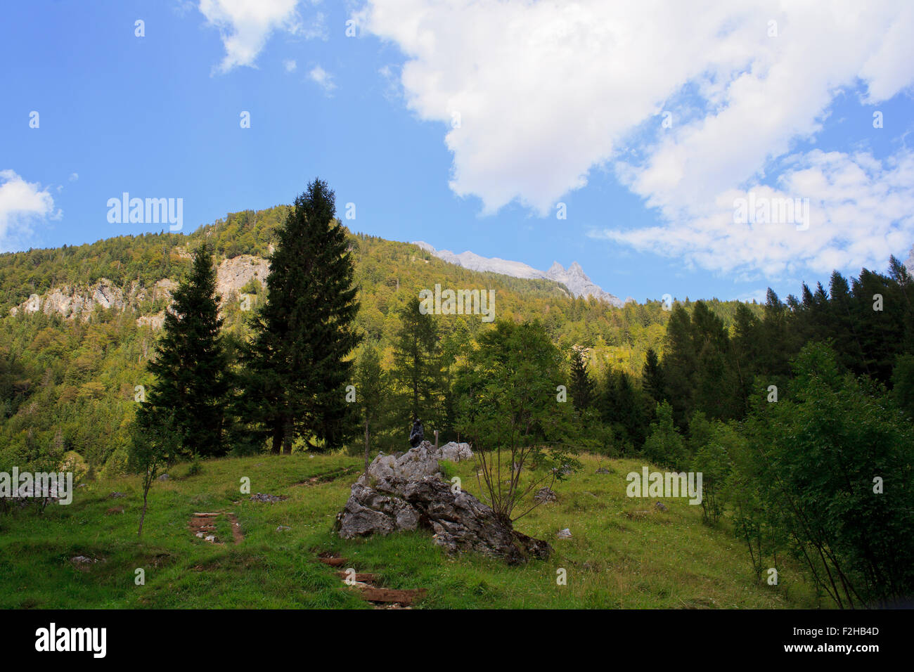 Vista delle Alpi Giulie nella campagna slovena Foto Stock