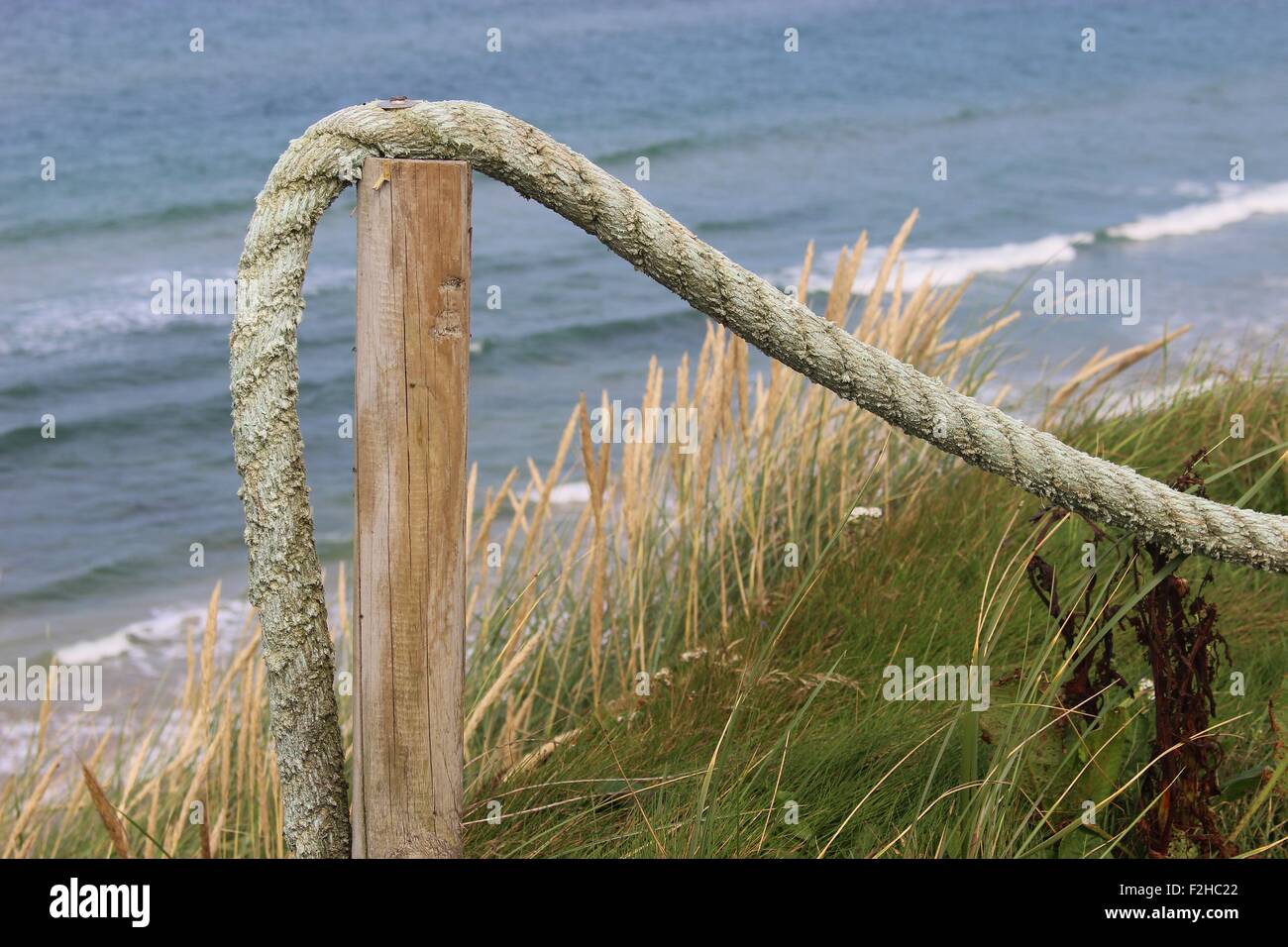 Sulla costa nord-occidentale della Danimarca, Scandinavia, Europa. Una spessa fune come barriera. Guarda da dune sul mare del Nord. Foto Stock