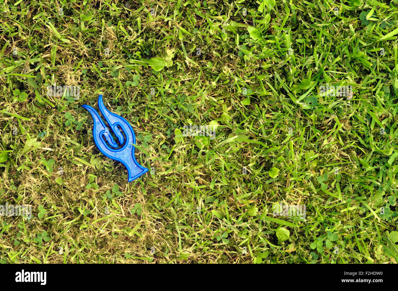 Plastica blu vestiti peg sull'erba Foto Stock