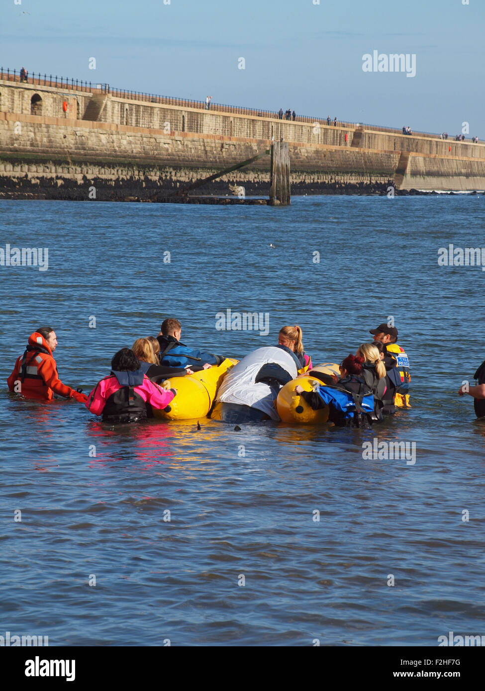 La vita marina rescue carità (B.D.M.L.R) formazione dei volontari per il soccorso di imitazione mammifero marino al rifugio di Tynemouth. Foto Stock