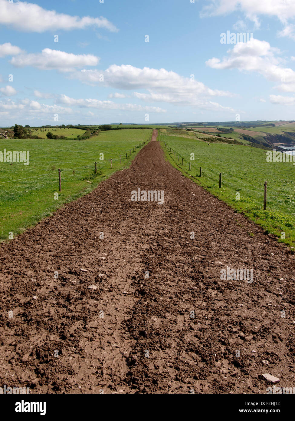Traccia di sporco attraverso terreni agricoli, Devon, Regno Unito Foto Stock