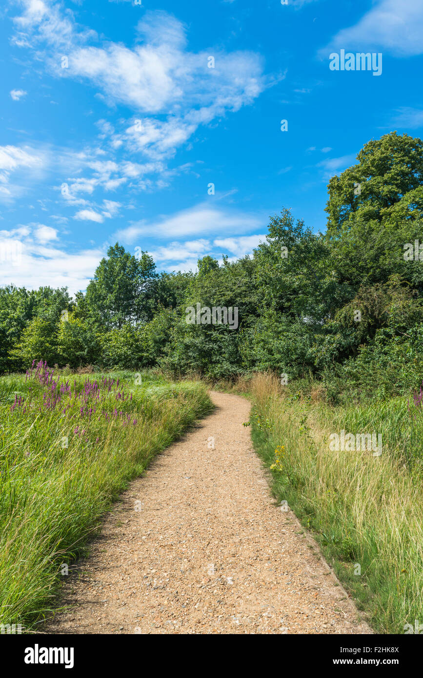 Un percorso attraverso il London Wetlands Centre - WWT riserva naturale Foto Stock