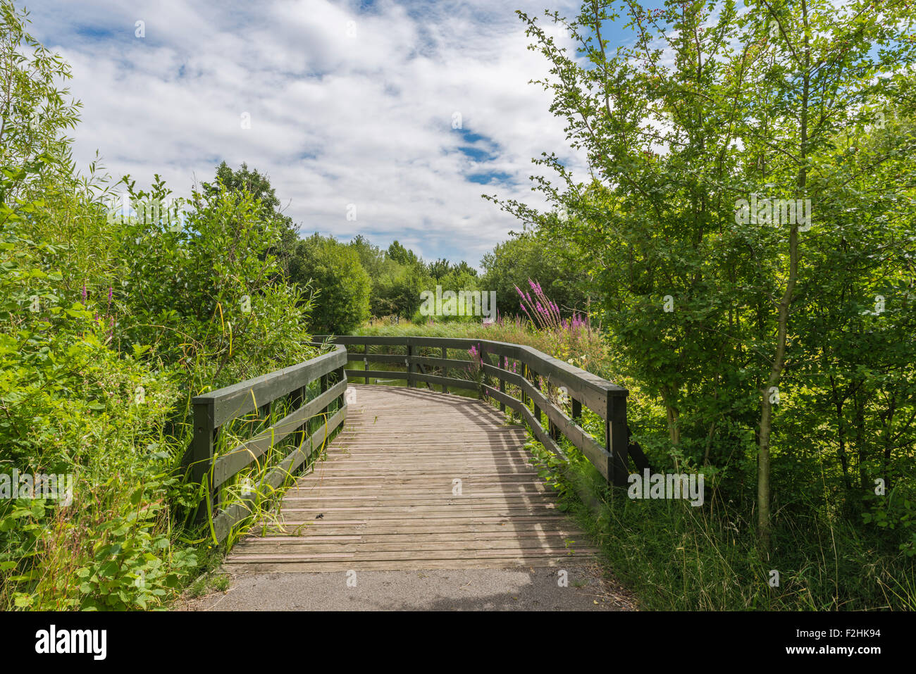 Un percorso attraverso il london Wetlands Centre - wwt riserva naturale Foto Stock