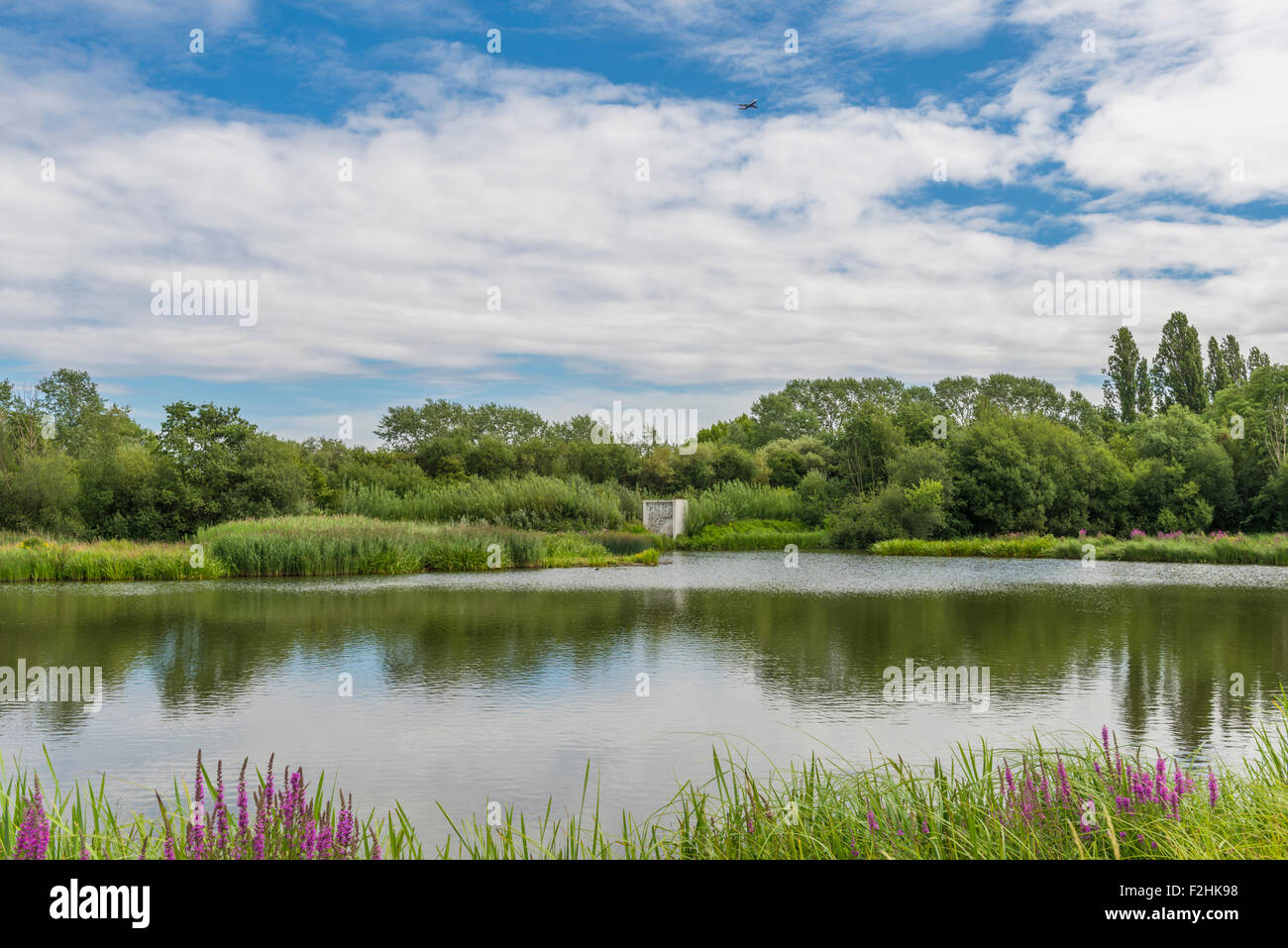 Un lago in london Wetlands Centre - wwt riserva naturale Foto Stock