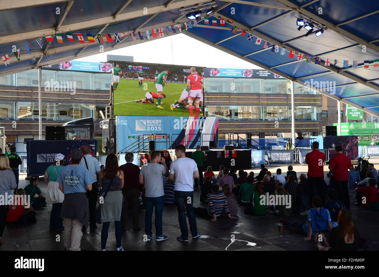 Cardiff Rugby World Cup 2015 finali Foto Stock