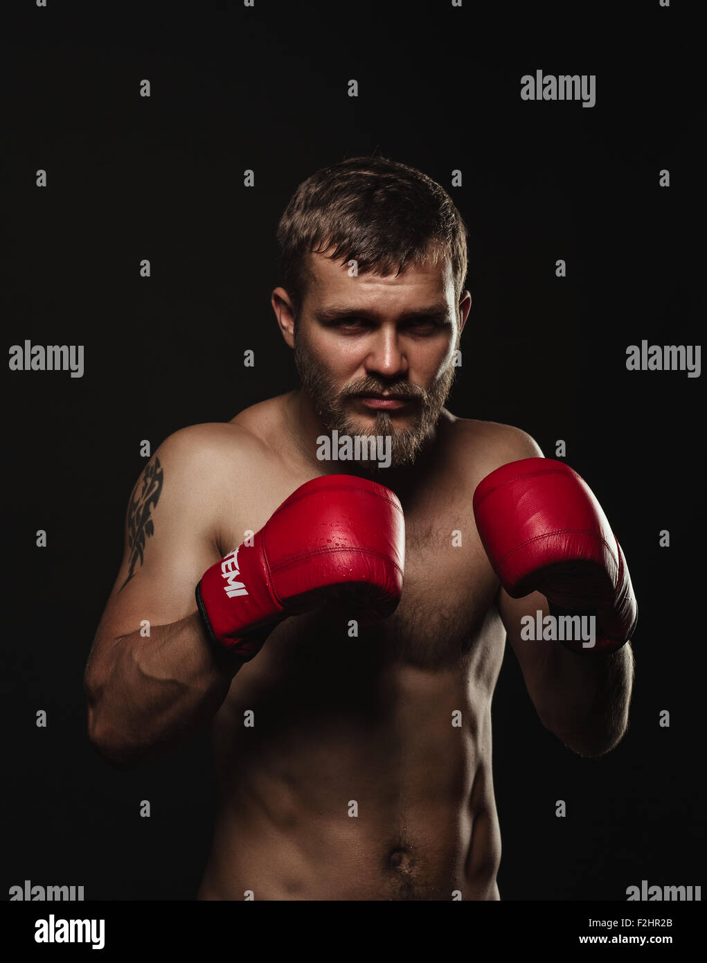 Athletic boxer barbuto con guanti su sfondo scuro Foto Stock