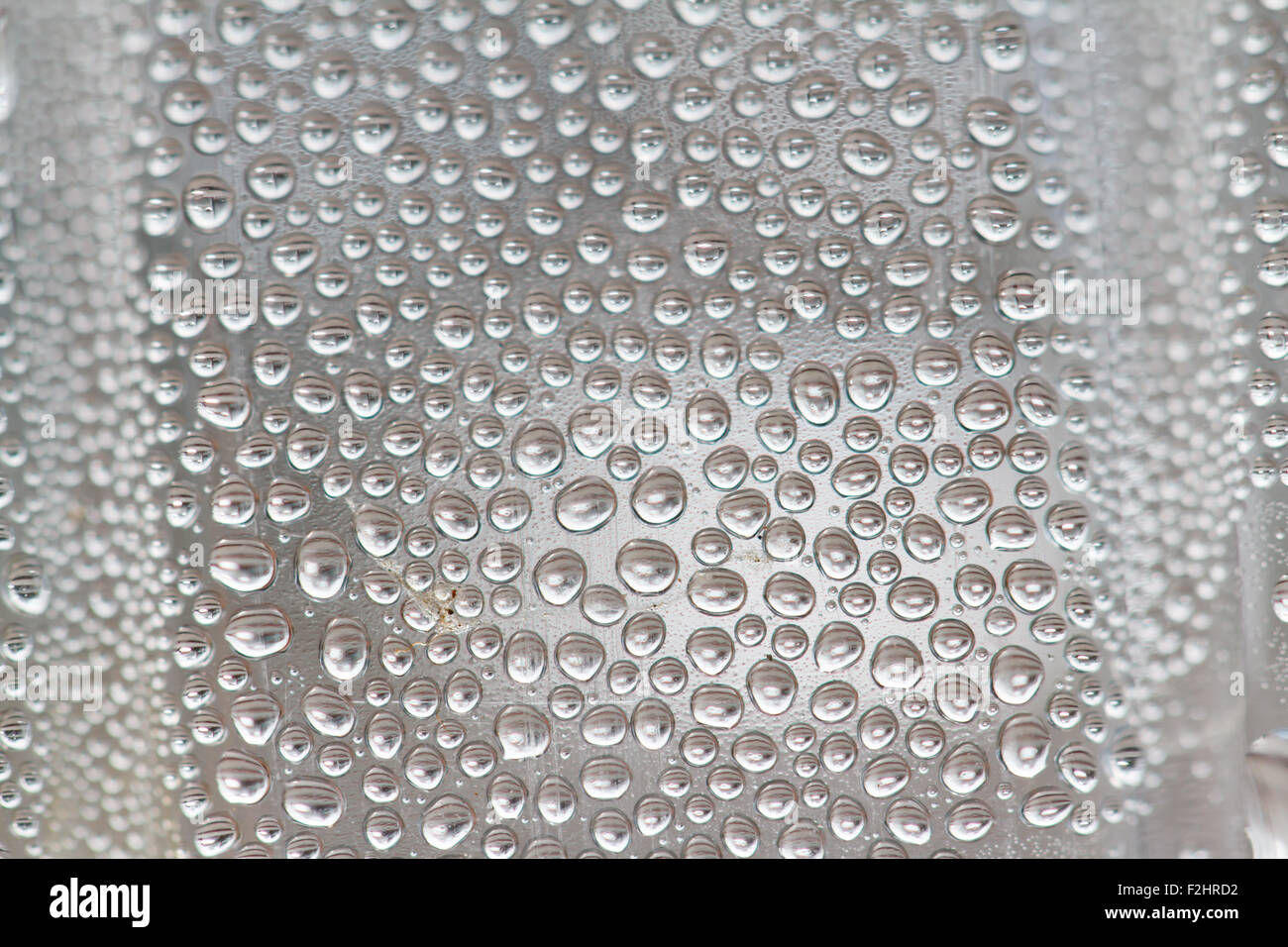 Gocce di acqua sul vetro Foto Stock