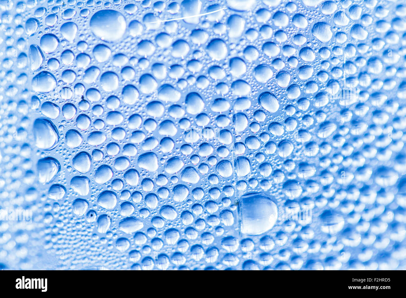 Gocce di acqua sul vetro Foto Stock