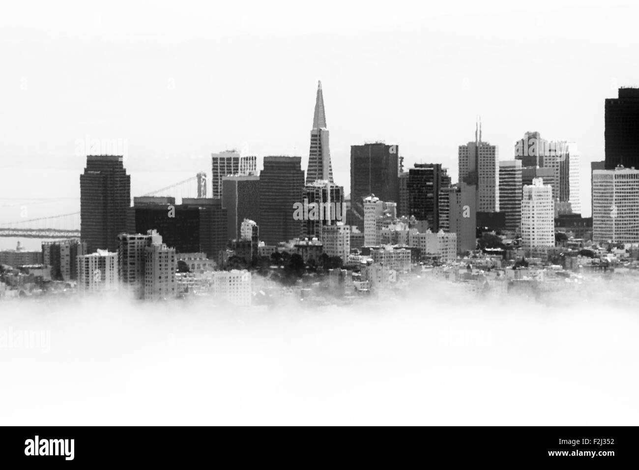 Grattacieli in una città, Piramide Transamerica, San Francisco, California, Stati Uniti d'America Foto Stock