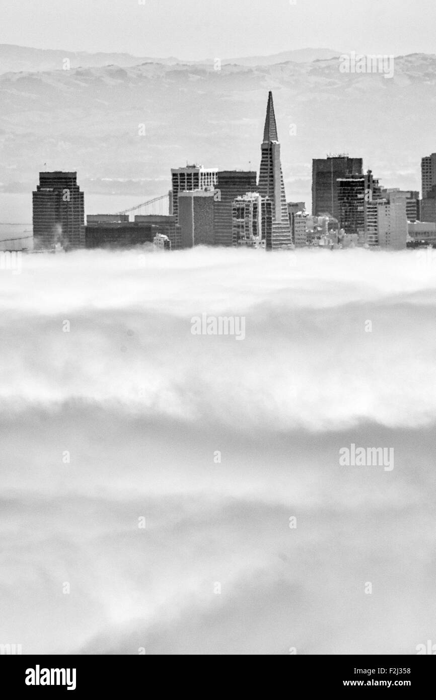 Grattacieli in una città, Piramide Transamerica, San Francisco, California, Stati Uniti d'America Foto Stock