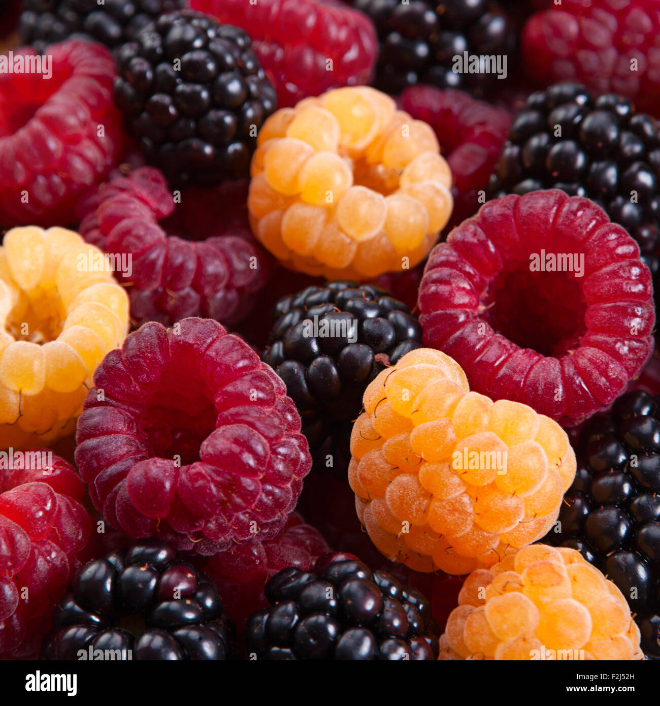 Blackberry e frutta Lampone closeup sfondo Foto Stock