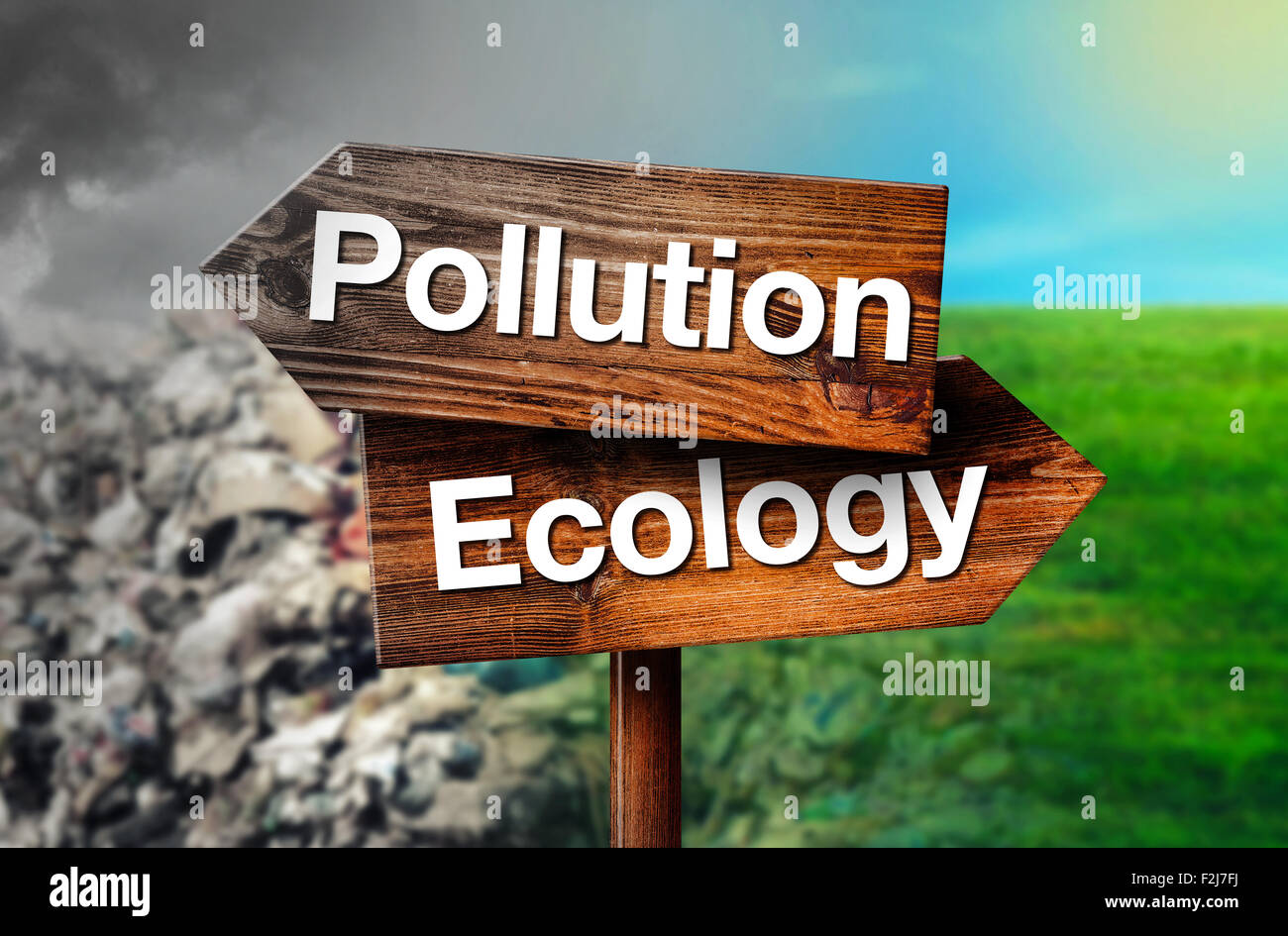 Inquinamento o il concetto di ecologia di scelta, rustico opposta direzione cartello in legno che puntano a Garbage Dump e pulire i pascoli Foto Stock