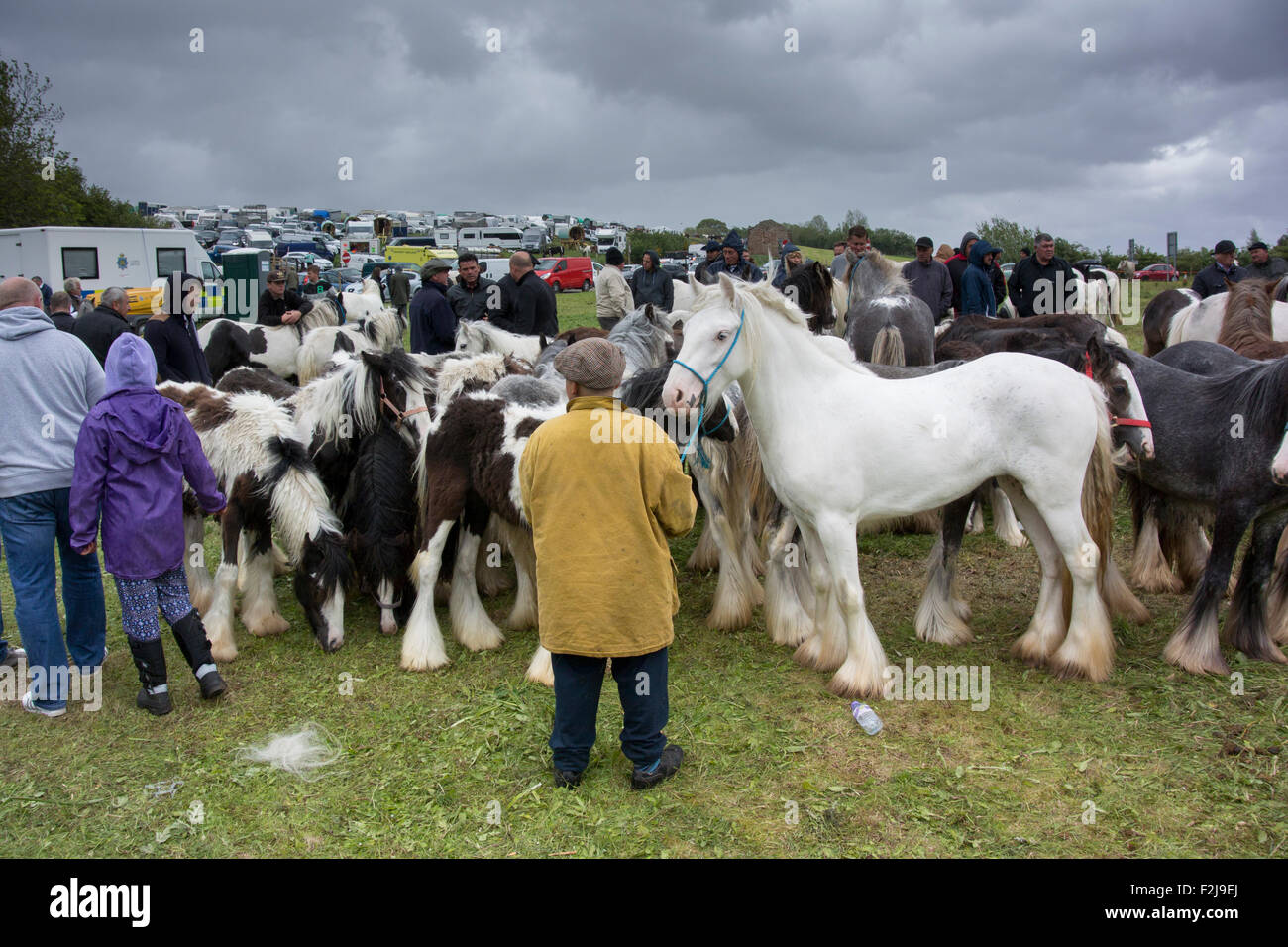 Scene di strada a Appleby Horse Fair in Cumbria, dove i cavalli sono venduti nelle strade. Regno Unito Foto Stock