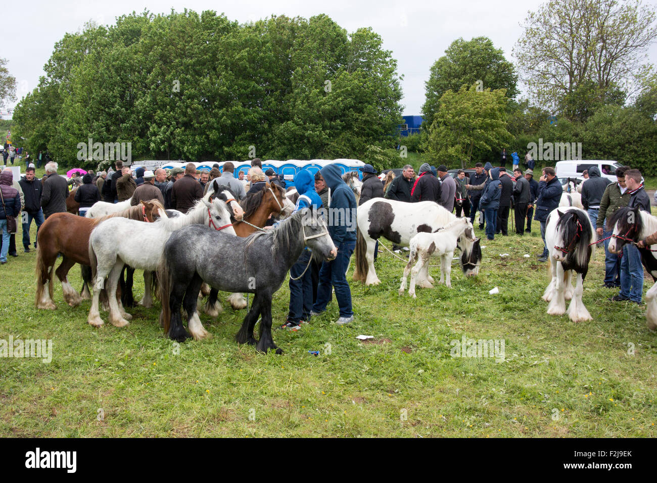 Scene di strada a Appleby Horse Fair in Cumbria, dove i cavalli sono venduti nelle strade. Regno Unito Foto Stock