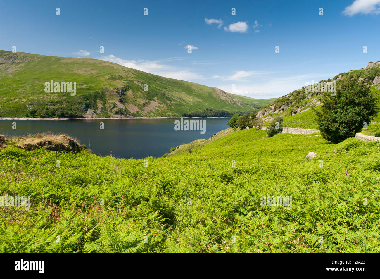 Scafell serbatoio nel Lake District inglese. Cumbria, Regno Unito, inizio dell'estate. Foto Stock