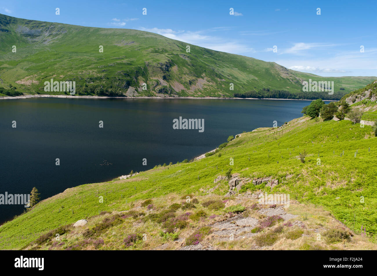 Scafell serbatoio nel Lake District inglese. Cumbria, Regno Unito, inizio dell'estate. Foto Stock