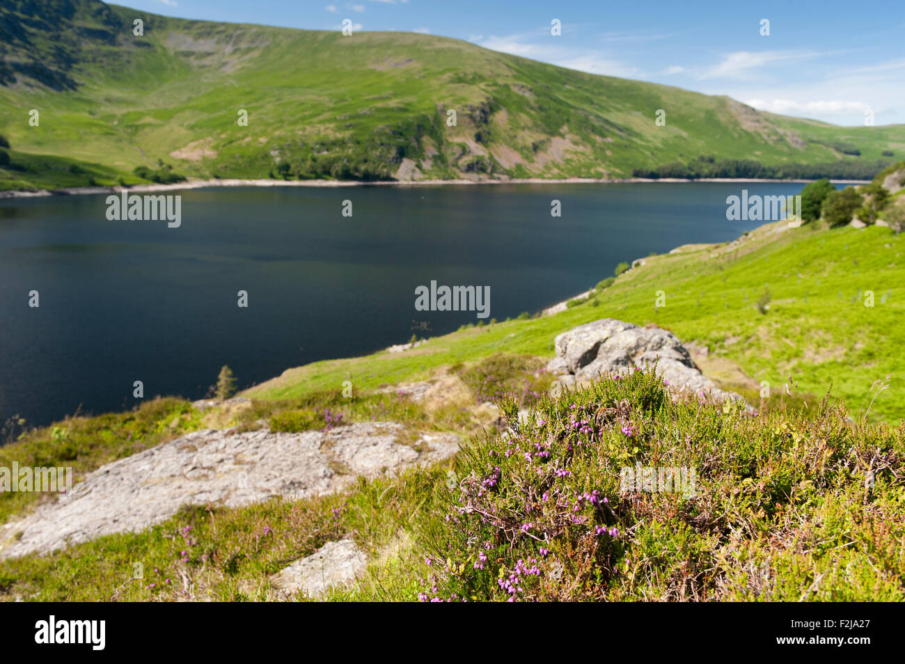 Scafell serbatoio nel Lake District inglese. Cumbria, Regno Unito, inizio dell'estate. Foto Stock