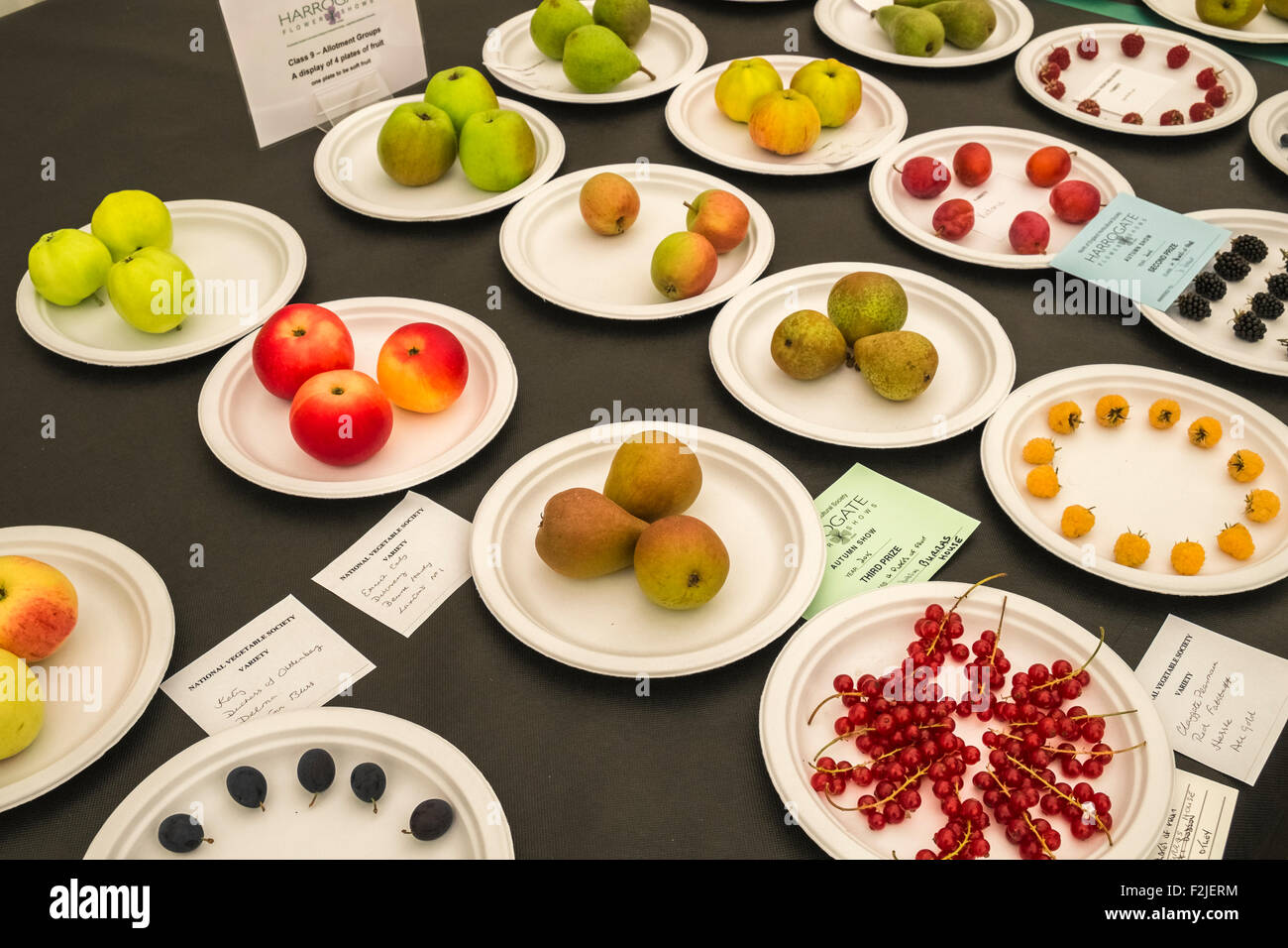 Piastre di frutta fresca, esposti in una mostra concorso, Harrogate Inghilterra, Regno Unito Foto Stock