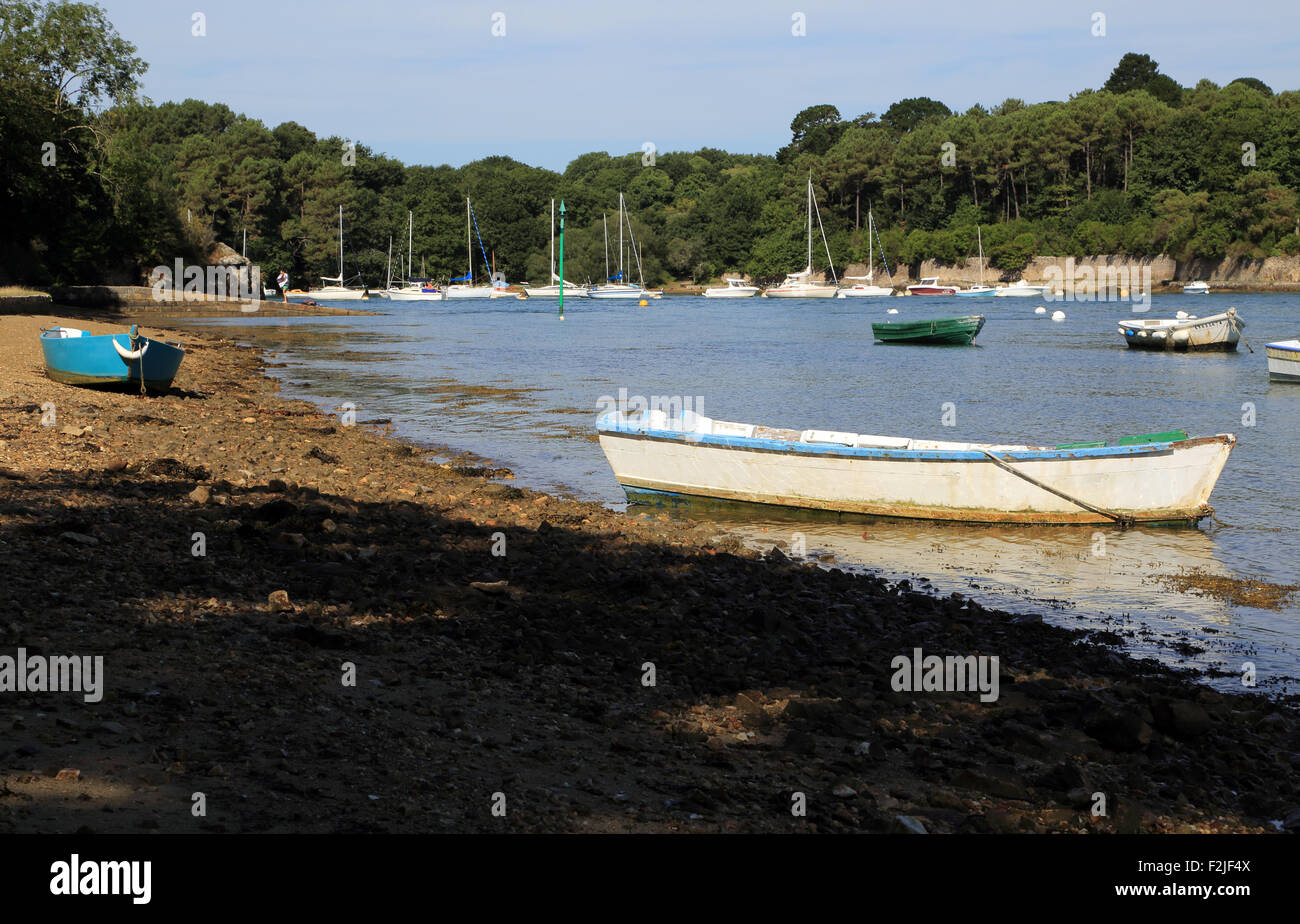 Ormeggiate imbarcazioni a remi a bassa marea A la Pointe de la Presqu'île de Langle, Porto Anna, Sene, Vannes, Morbihan, in Bretagna, Francia Foto Stock