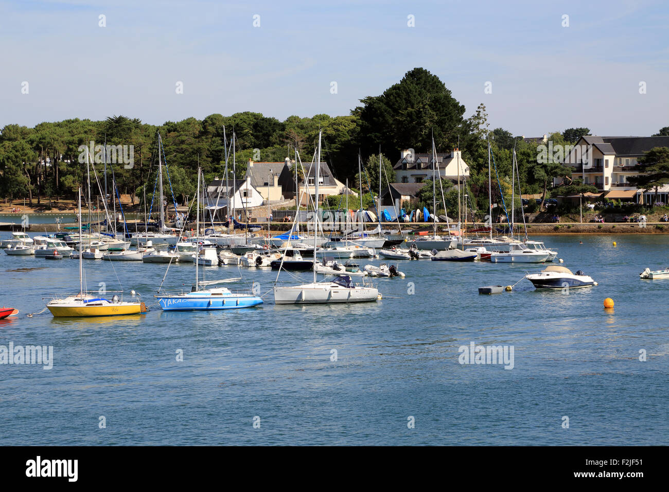 Vista di ile de conleau dalla pointe de la Presqu'île de Langle, Porto Anna, Sene, Vannes, Morbihan, in Bretagna, Francia Foto Stock