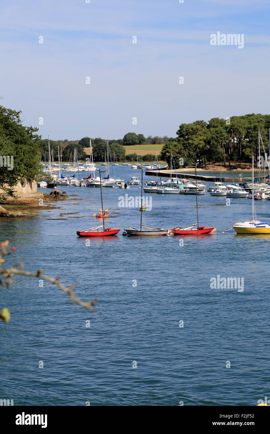 Vista di Riviere du Vincin dalla pointe de la Presqu'île de Langle, Porto Anna, Sene, Vannes, Morbihan, in Bretagna, Francia Foto Stock