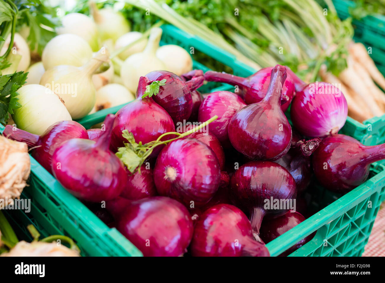 Sana e verdura biologica al mercato degli agricoltori Foto Stock